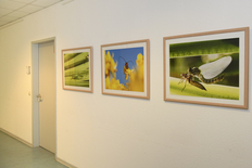 Fotoausstellung im Amtsgericht Haus II