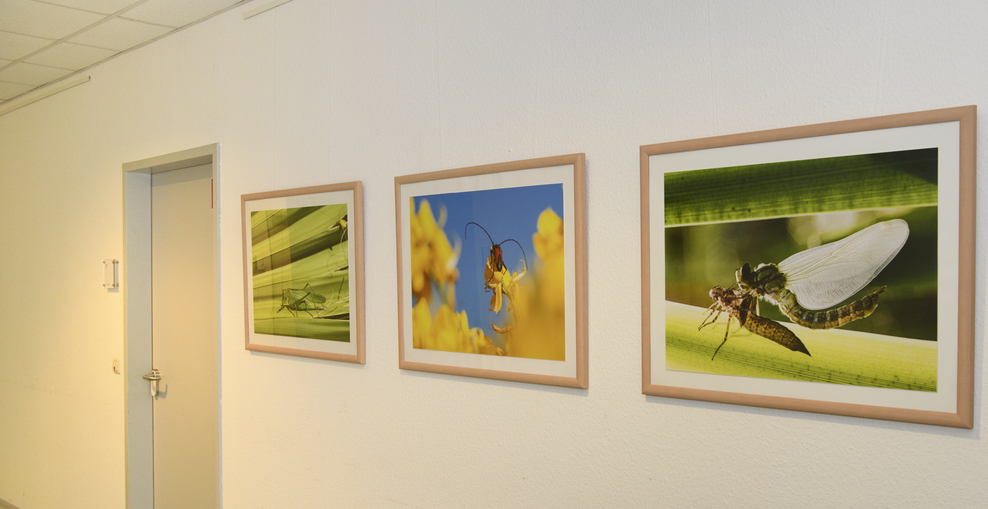 Fotoausstellung im Amtsgericht Haus II